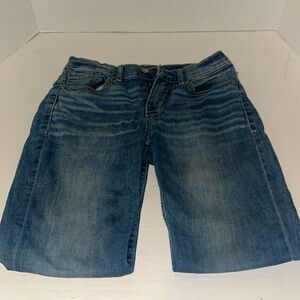 BKE Aiden Jeans Size 29 Waist